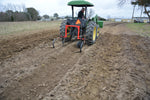 16" X 1/4" X 54STEM ROW CROP SWP
