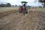 16" X 1/4" X 54STEM ROW CROP SWP