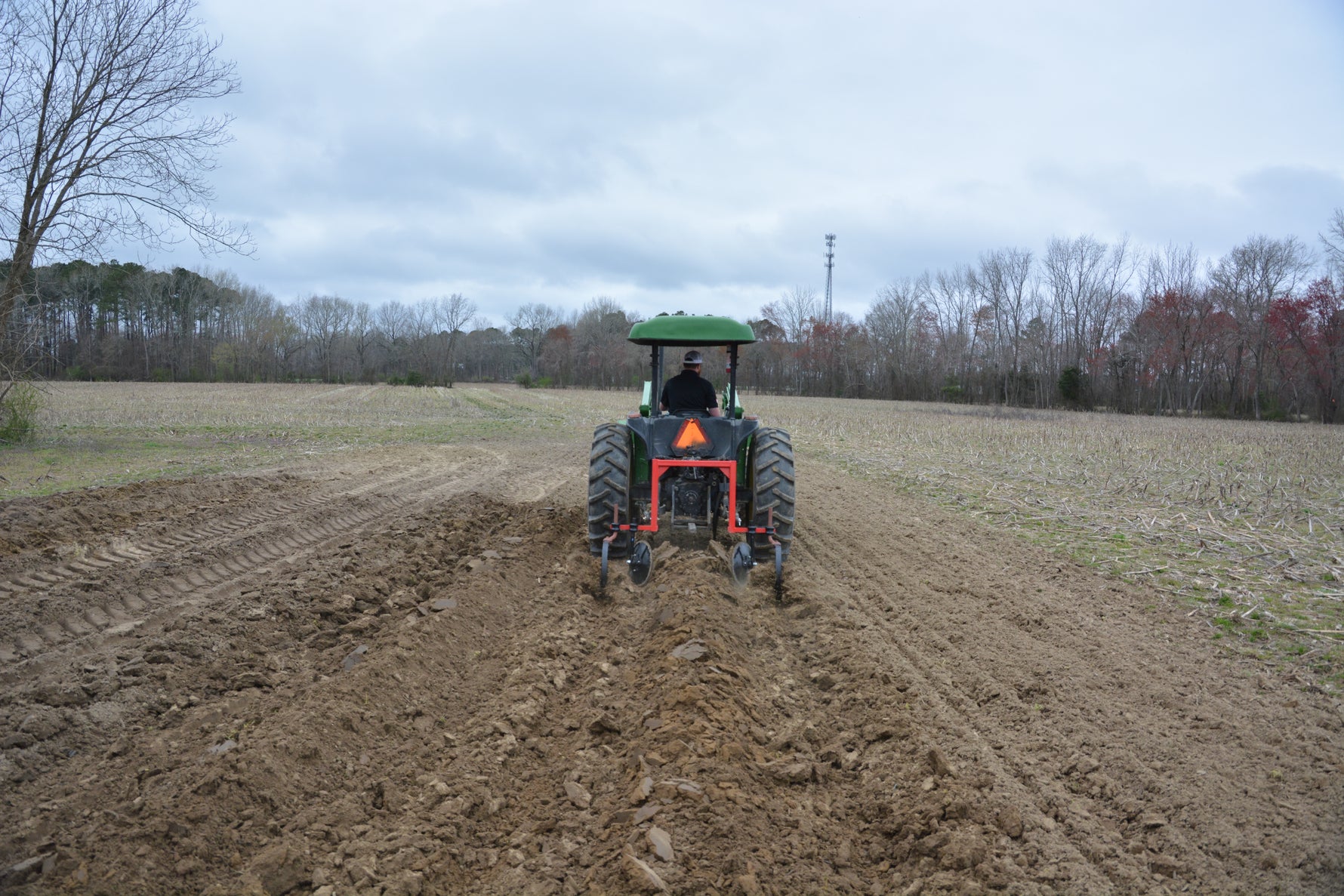 16" X 1/4" X 54STEM ROW CROP SWP