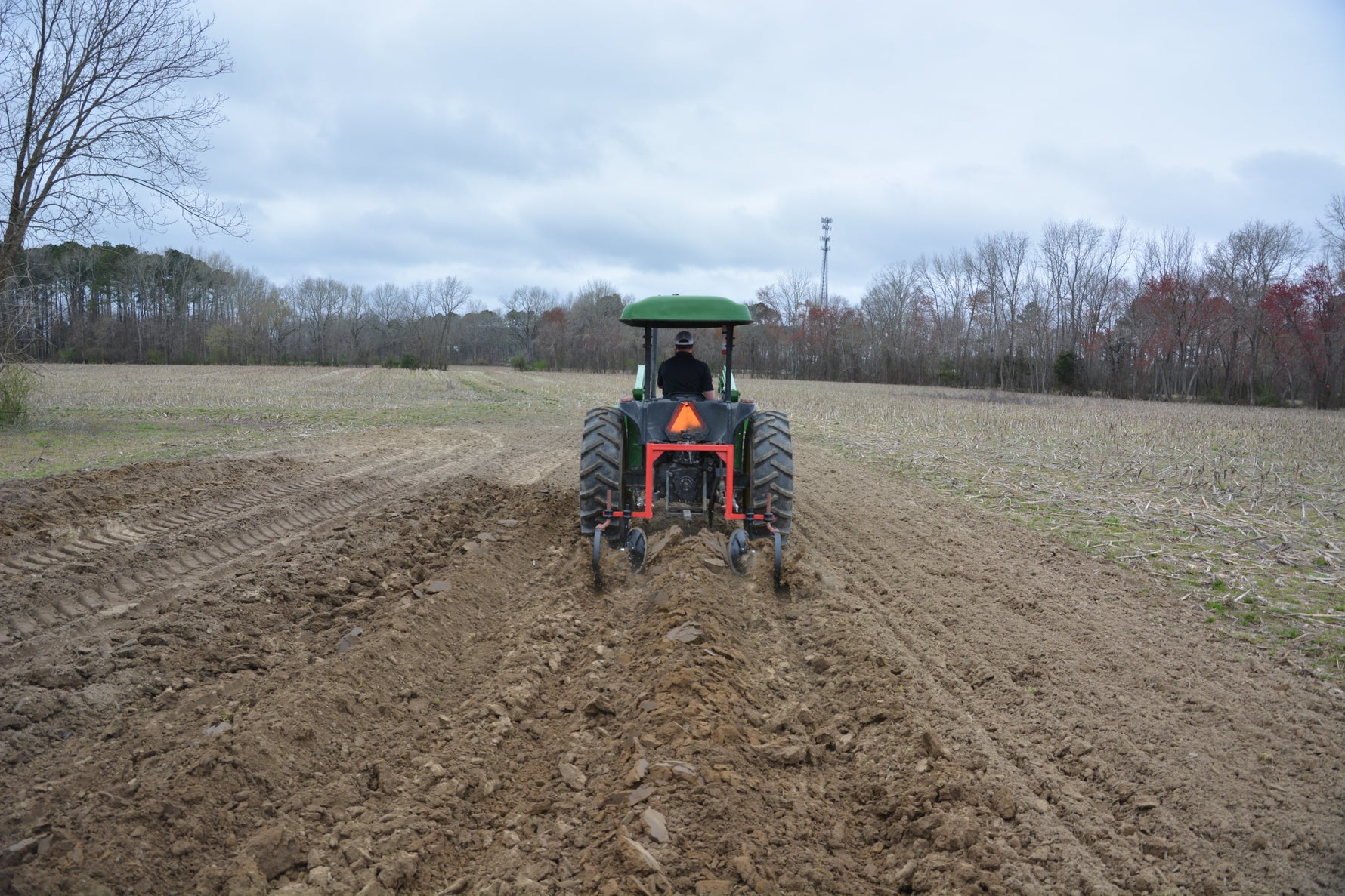 16" X 1/4" X 54STEM ROW CROP SWP