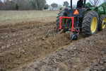 16" X 1/4" X 54STEM ROW CROP SWP
