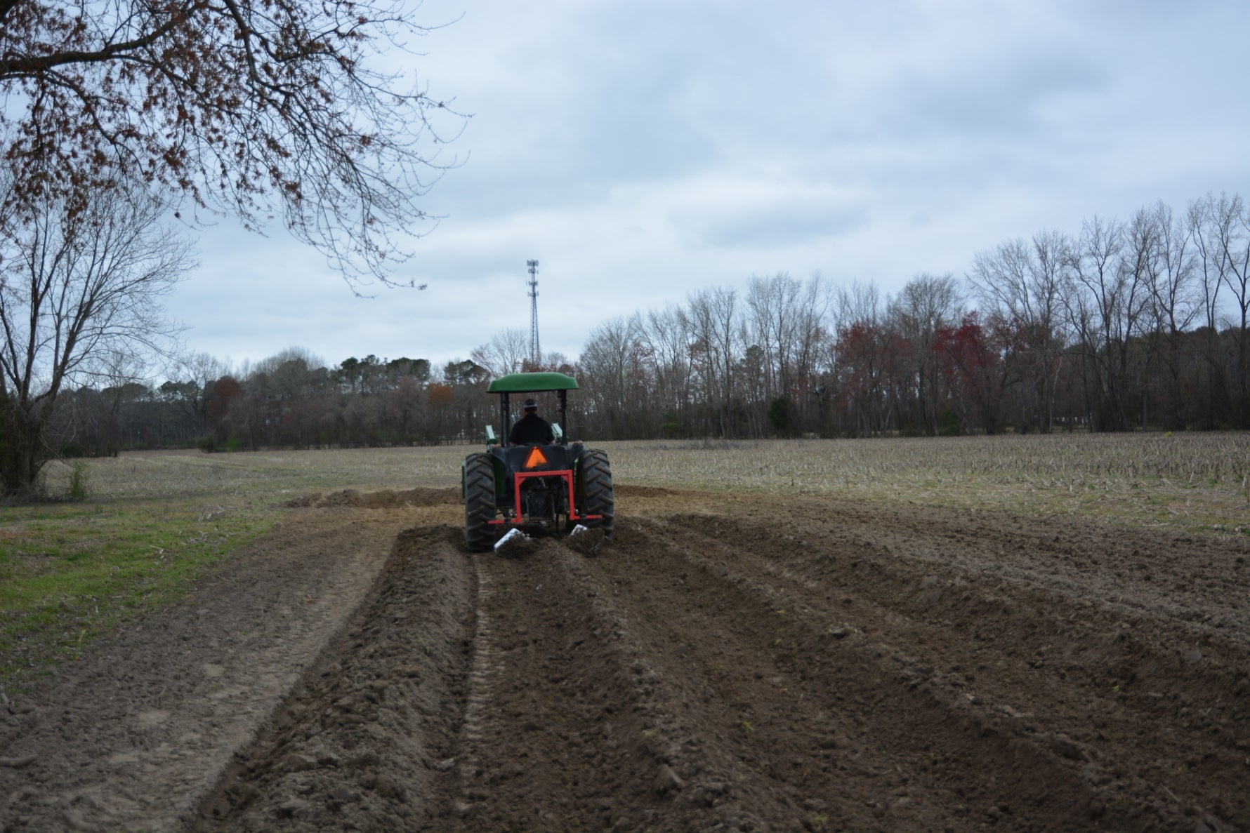 4 GANG ROLLING CULTIVATOR LH