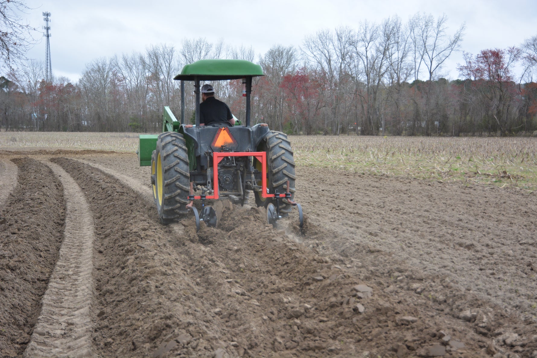 16" X 1/4" X 54STEM ROW CROP SWP