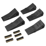 H&L DIRT TOOTH 5PK